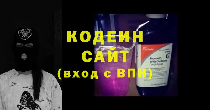 цена наркотик  Вилюйск  Кодеиновый сироп Lean Purple Drank 